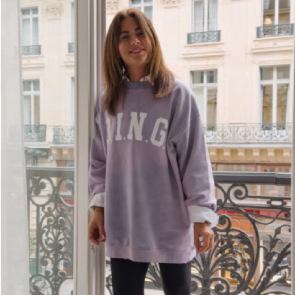 Anine Bing oversized sweatshirt